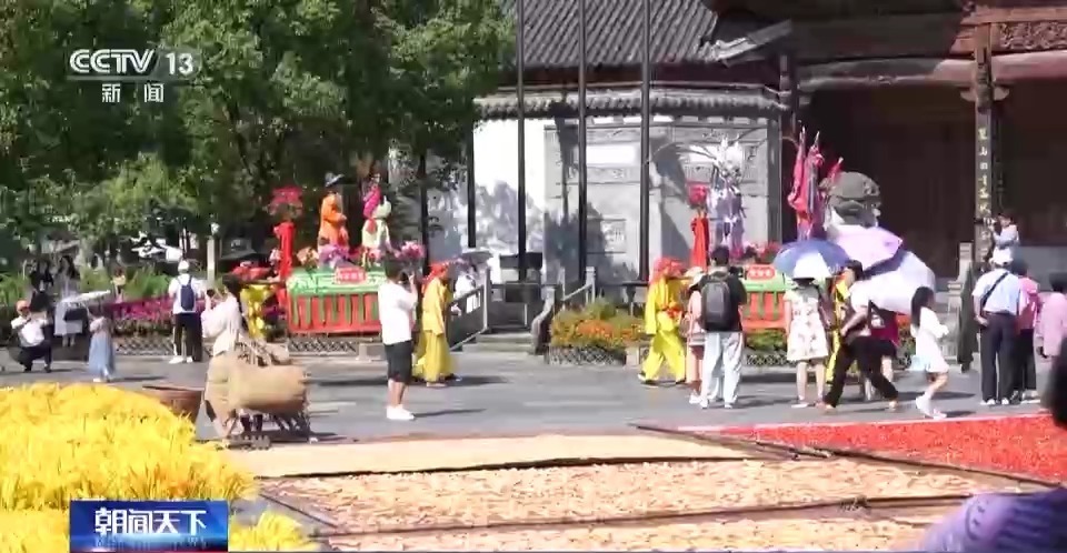 宝马策略网菠菜